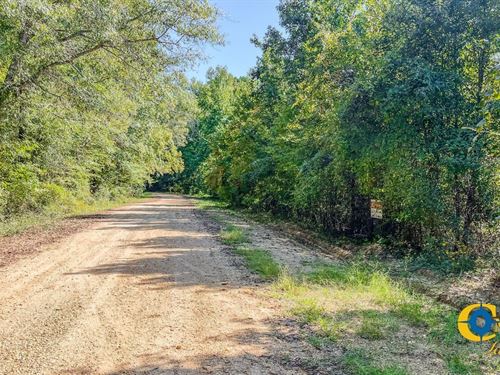 Frank Lapere Creek 1 : Marion : Union Parish : Louisiana