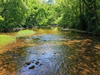 Green River Red Barn Tract : Waynesboro : Wayne County : Tennessee