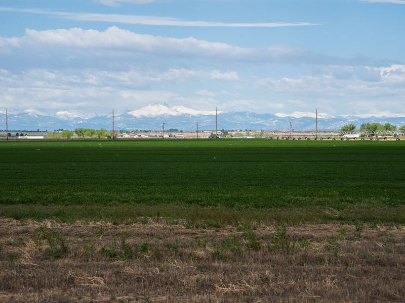 Ggw 550 Farm : Hudson : Weld County : Colorado
