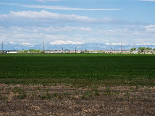 Ggw 550 Farm : Hudson : Weld County : Colorado