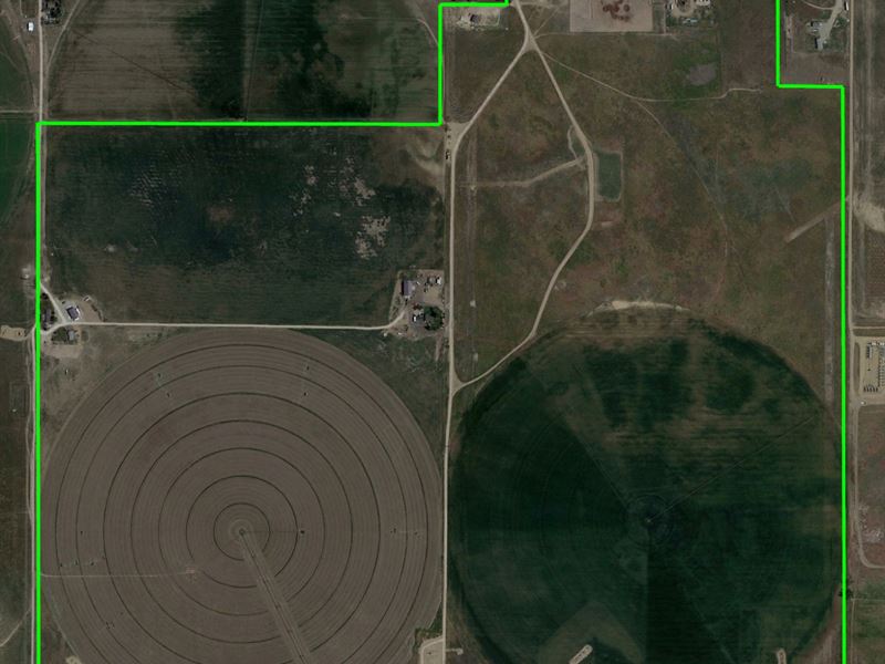 Ggw 550 Farm : Hudson : Weld County : Colorado