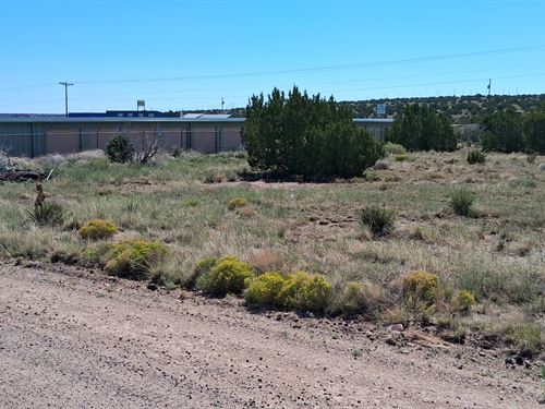 Rare Twin Lots Near Concho Shops : Concho : Apache County : Arizona