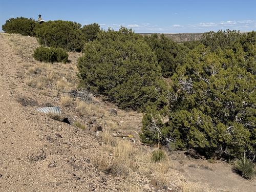 Build Atop a Hill with Scenic Views : Concho : Apache County : Arizona