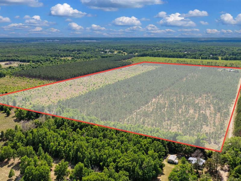 Beautiful 40 Acre Tract : O'brien : Suwannee County : Florida