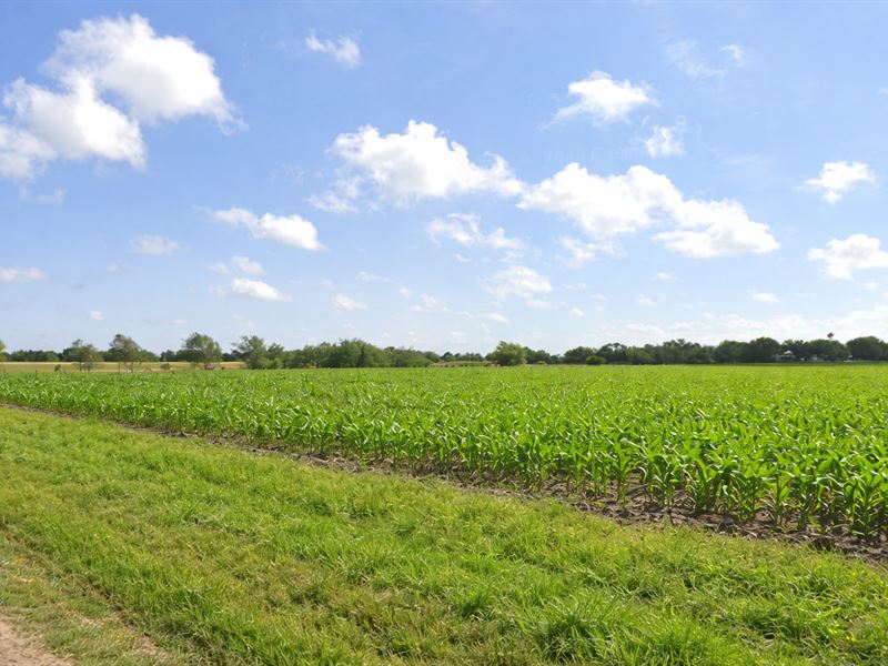 Beautiful 10 Acres in Santa Rosa : Santa Rosa : Cameron County : Texas