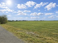 Beautiful 10 Acres in Orange Grove : Robstown : Nueces County : Texas