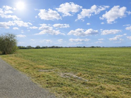 Beautiful 10 Acres in Orange Grove : Robstown : Nueces County : Texas