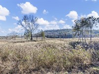 Tract 3 Booger Hollow Rd : Dover : Pope County : Arkansas