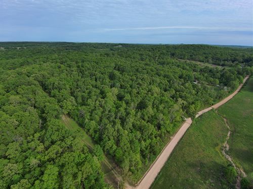 Wooded Acreage for Sale : Bakersfield : Ozark County : Missouri