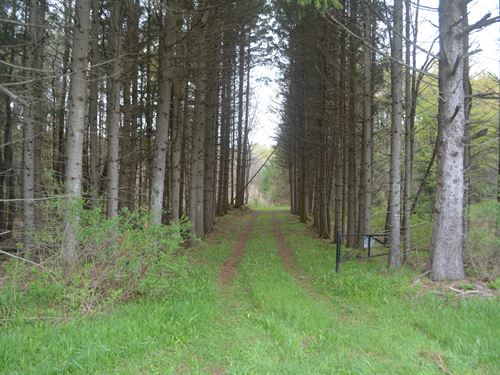 Prime Recreation Hunting, Must See : Centerville : Allegany County : New York