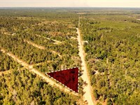 Escape to Quiet Living : Interlachen : Putnam County : Florida