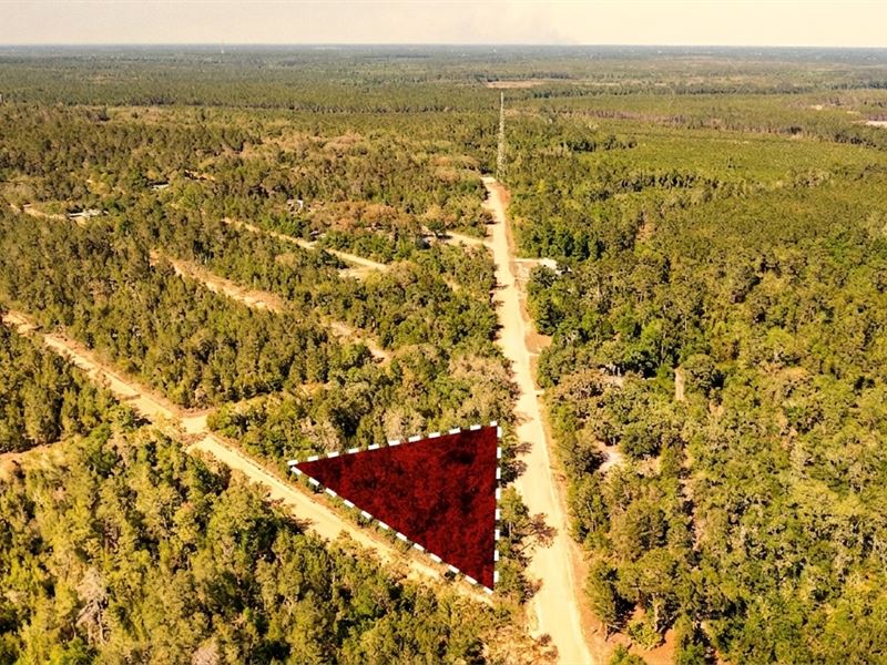 Escape to Quiet Living : Interlachen : Putnam County : Florida