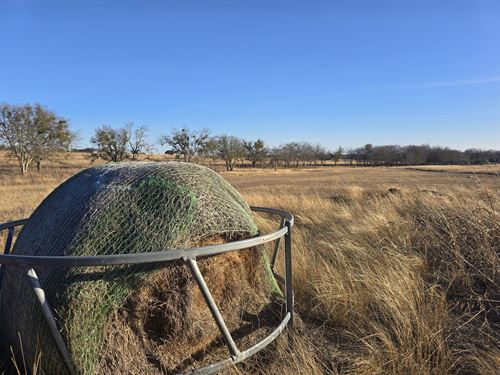 15 Acres Jarrell, Williamson County : Jarrell : Williamson County : Texas