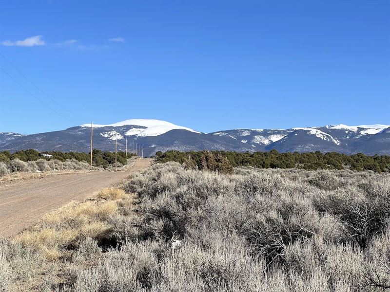 Wild Horse Mesa Land and Power Line : San Luis : Costilla County : Colorado