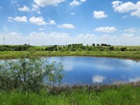 Rolling Acres Ranchette : Buckholts : Milam County : Texas