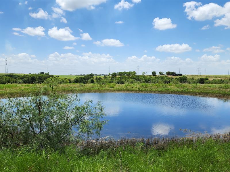 Rolling Acres Ranchette : Buckholts : Milam County : Texas