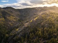 Adduce Ranch : Florissant : Park County : Colorado