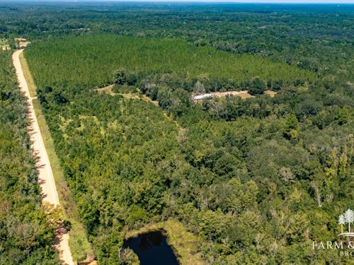 68.5 Ac Caryville Longleaf Farm : Caryville : Washington County : Florida