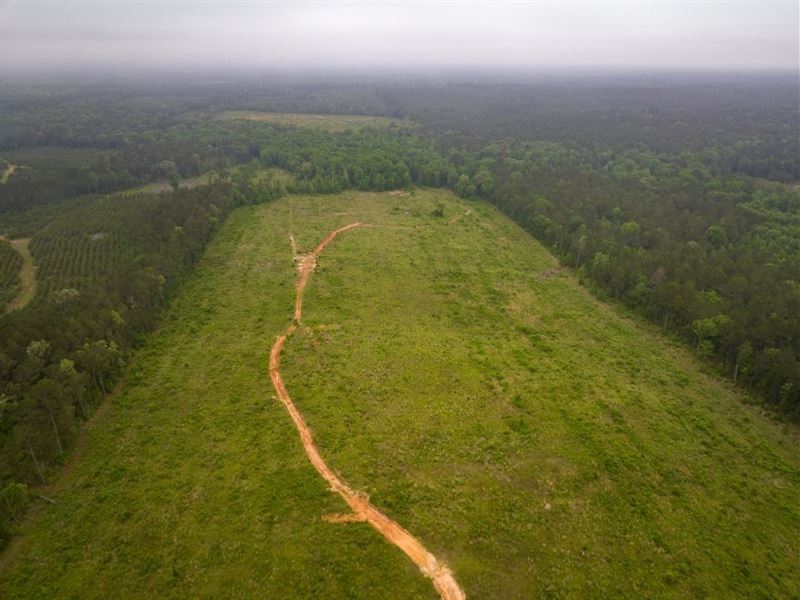 194 Acres, FM 1857 : Rusk : Cherokee County : Texas