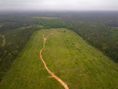 194 Acres, FM 1857 : Rusk : Cherokee County : Texas