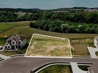 Cul-De-Sac Build Lot in Franklin : Franklin : Williamson County : Tennessee