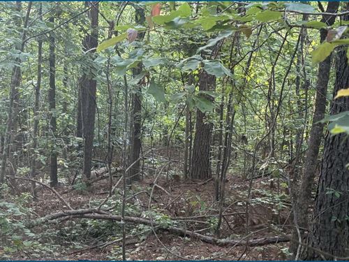 42.5 Acres Tract 2 in Choctaw Cou : Stewart : Choctaw County : Mississippi