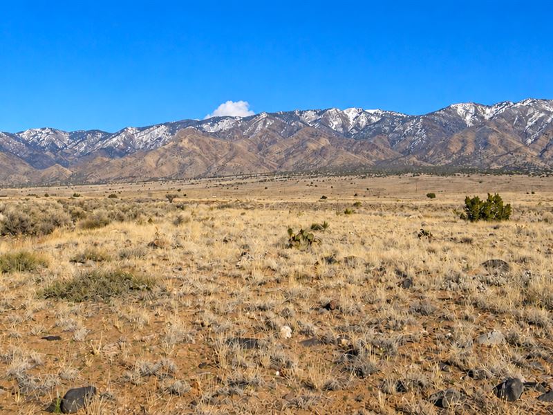 Mountain Views, Growing Area : Belen : Valencia County : New Mexico