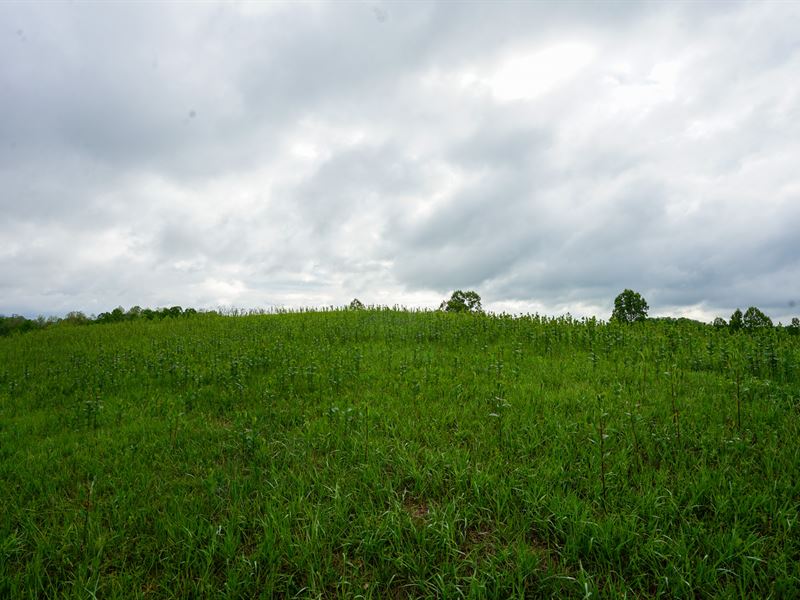 Van Fossen Ln 5 : Chesterhill : Morgan County : Ohio