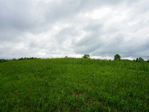 Van Fossen Ln 5 : Chesterhill : Morgan County : Ohio