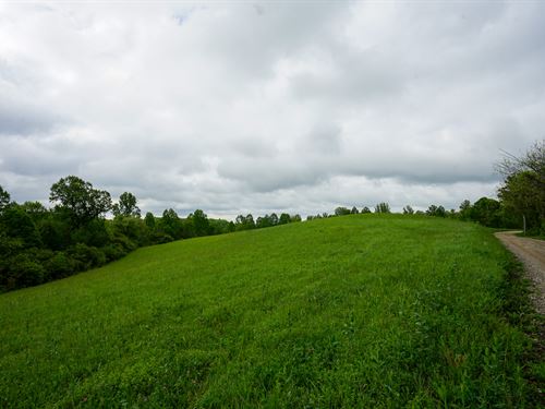 Van Fossen Ln 5 : Chesterhill : Morgan County : Ohio