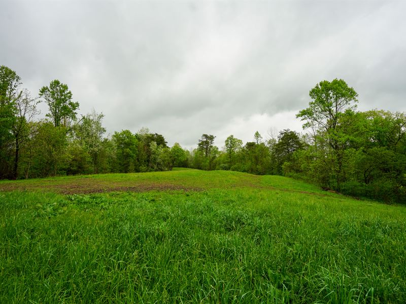 Spears Hill Rd 75 : Stockport : Washington County : Ohio