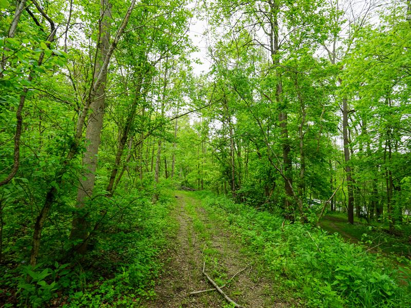 Ervin Ln 15 : Stockport : Morgan County : Ohio