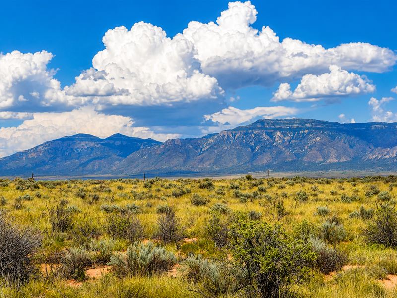 Affordable Land Investment in NM : Los Lunas : Valencia County : New Mexico
