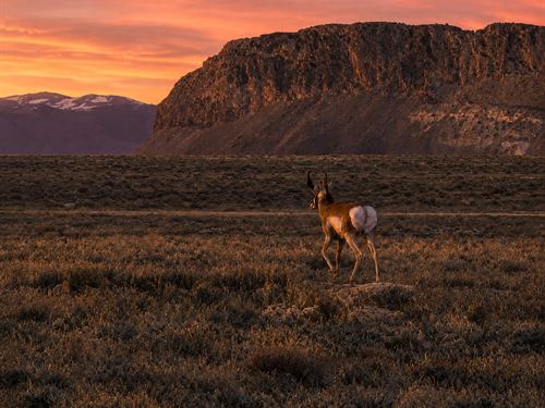 .12 Acre in Montello, NV, Unzoned : Montello : Elko County : Nevada