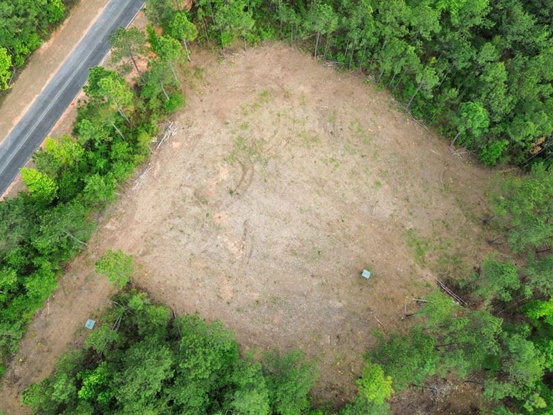 15 Acres Chattahoochee Co. GA : Cusseta : Chattahoochee County : Georgia