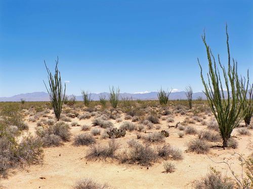 Own 5 Arizona Acres : Yucca : Mohave County : Arizona