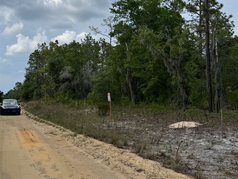 Private Lot Close to Lake Grandin : Interlachen : Putnam County : Florida