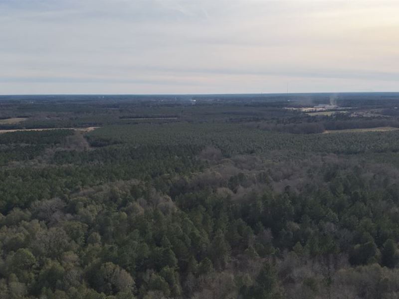 Bccc Lot 9 : Sylvania : Screven County : Georgia