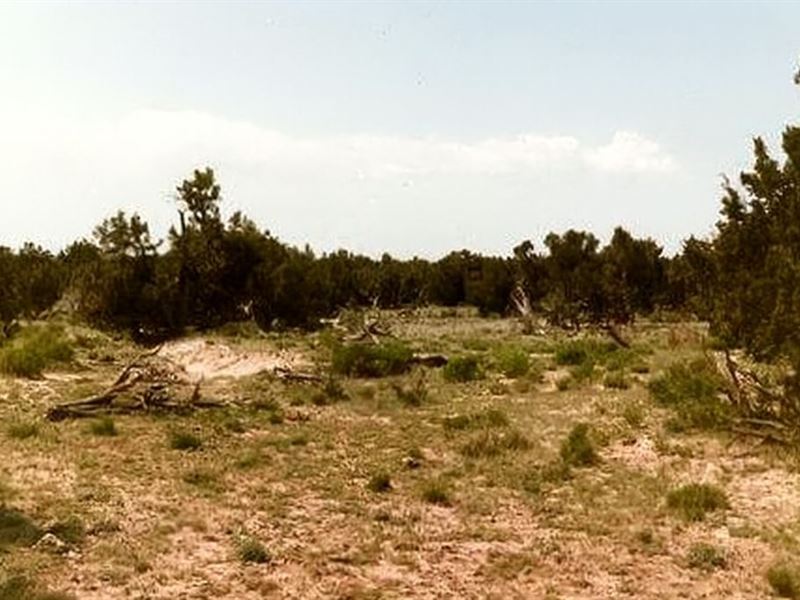 Quiet High-Desert Retreat : Chambers : Apache County : Arizona