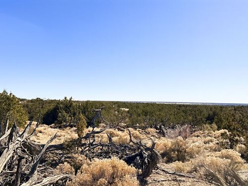 Wide-Open Horizons : Chambers : Apache County : Arizona