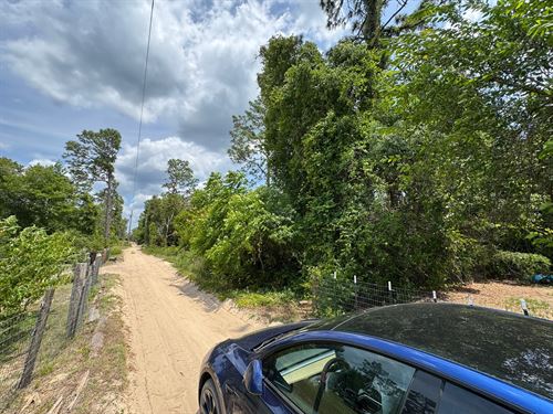 Flexible Lot Perfect Florida Escape : Fort Mc Coy : Madison County : Florida