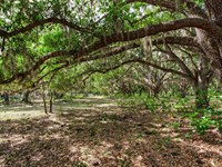 Knights Griffin Rd Acreage Homesite : Thonotosassa : Hillsborough County : Florida