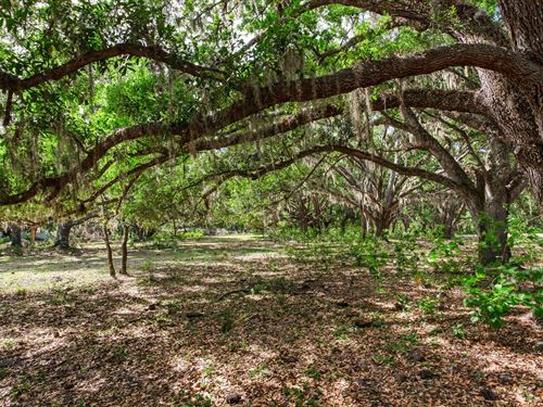 Knights Griffin Rd Acreage Homesite : Thonotosassa : Hillsborough County : Florida