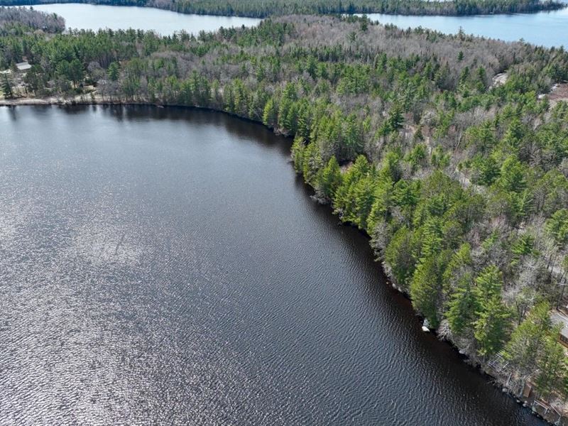 Rare Big Stone Lake Parcel : Three Lakes : Oneida County : Wisconsin