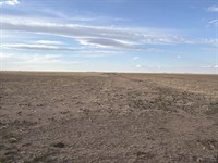 Washington County, CO Farm : Cope : Washington County : Colorado