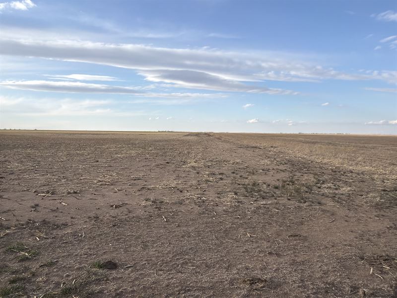Washington County, CO Farm : Cope : Washington County : Colorado