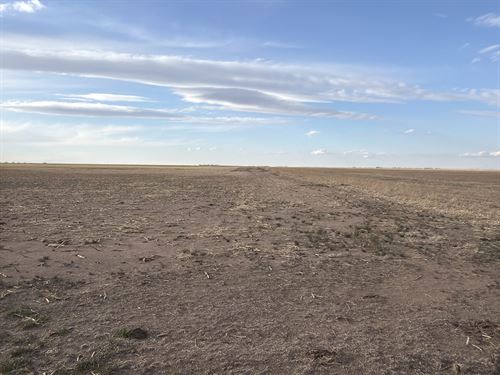 Washington County, CO Farm : Cope : Washington County : Colorado