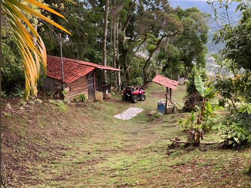 Charming Log Cabin : Orosi : Costa Rica