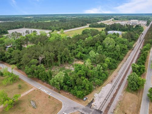 6.02 Acres, Offerman Loop : Patterson : Pierce County : Georgia