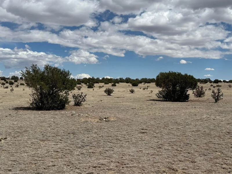 42 County Rd 122, Walsenburg, CO 81 : Walsenburg : Huerfano County : Colorado